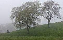 People walk up Citadel Hill through some thick fog on Thursday in Halifax-photo by Jeff Harper, Metro News