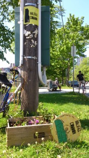 SE corner of Halifax Common at South Street at South Park Street Street