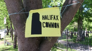 Flags to mark the perimeter of the Halifax Common