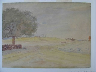 "Halifax Citadel and Common from the Road by Gom's Tree, 5 July 1841" (That tree would be about the location of a little willow, removed a few years ago, which was a remnant of a much older one, the "Willow Tree" on Quinpool Rd.) 