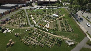 In 5 years Jayme Melrose and her team of volunteers have transformed the QEHS land into a place of productive beauty. Let's have a vision for St Pat's that's bigger than a developer's profit.
